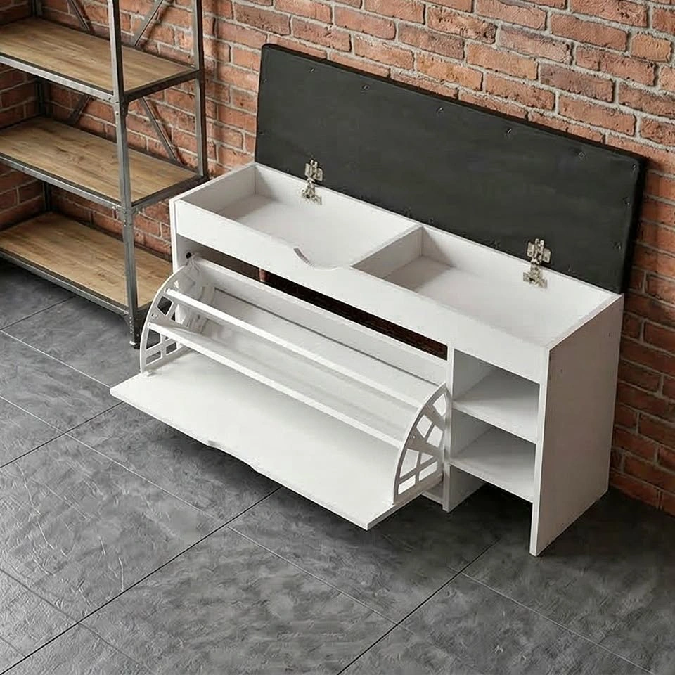 Modern Shoe Organizer Bench with Comfortable Cushion