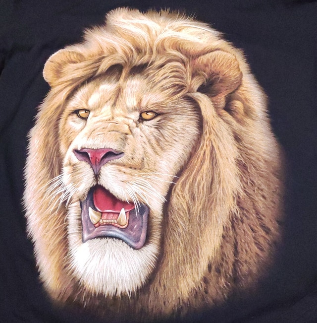 Vintage Mr. Big Double Sided Tee XL menswear - photo 2