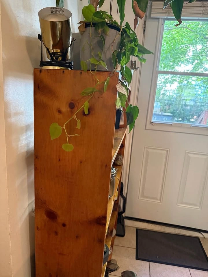 Solid Wood Bookshelf / Storage Shelf - photo 3