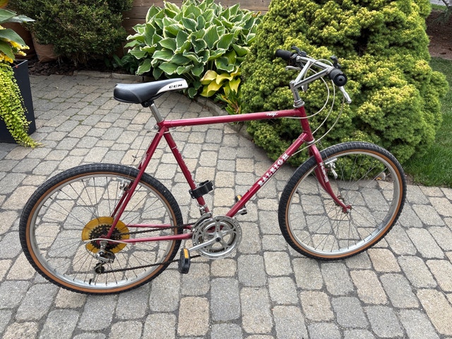 Adult Raleigh Portage Bicycle