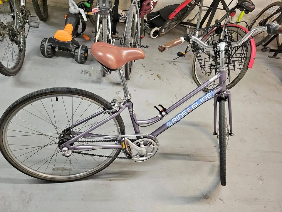 Retired rental bike for sale