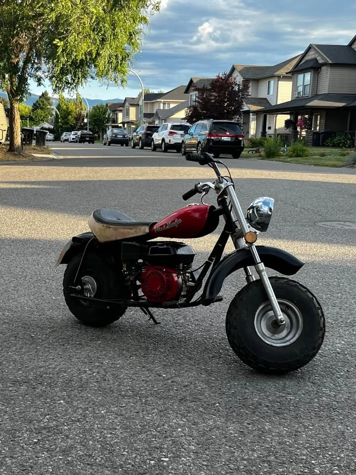 196cc Mini Baja Chopper - New Carb and Spark Plug - photo 5