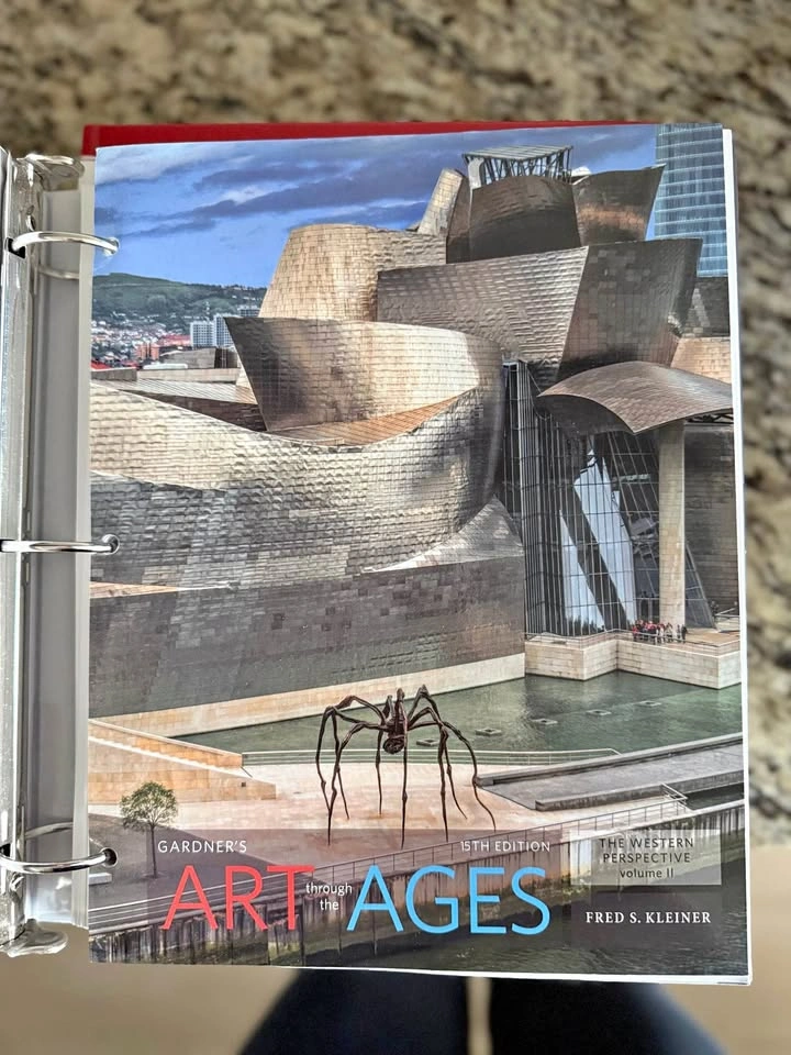 Gardner's Art Through the Ages: The Western Perspective, Vol II