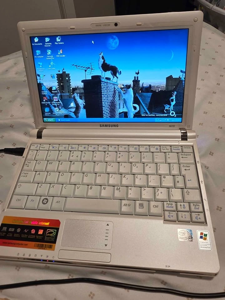 Nostalgic Samsung NC10 Laptop - photo 3