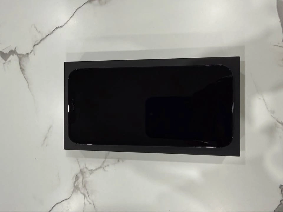 iPhone 12 Pro Max - 128GB - Pacific Blue - photo 2