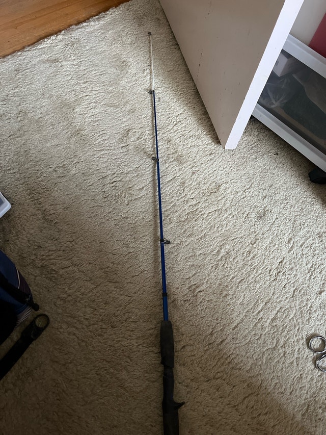 fishing rod - photo 2