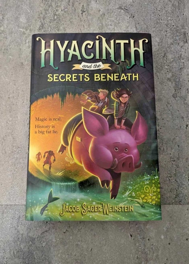 Novel - Hyacinth and the Secrets Beneath