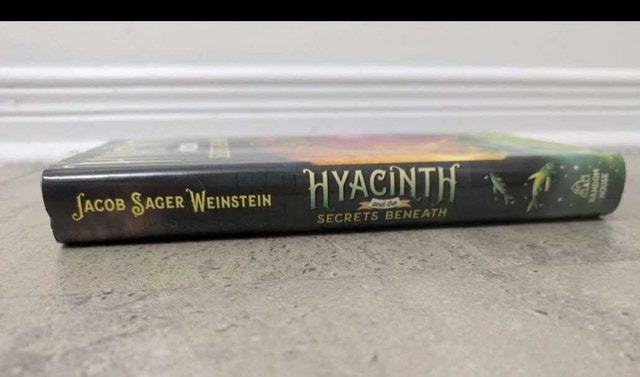 Novel - Hyacinth and the Secrets Beneath - photo 3
