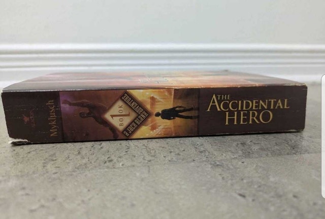 accidental hero - novel book