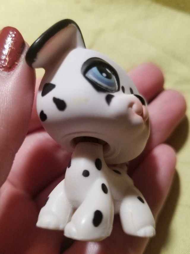 LPS Dalmatian #44 2004 - photo 5