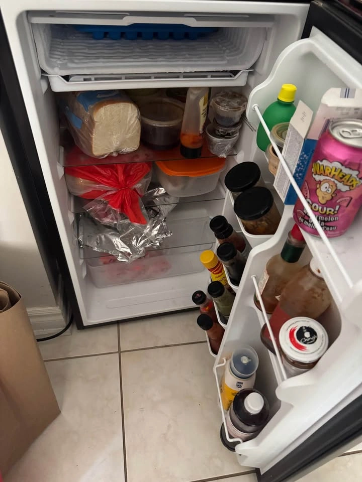 Moving sale- Mini Fridge - photo 5