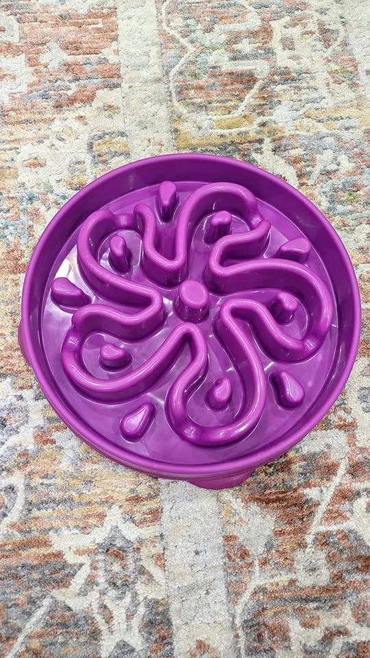 Outward Hound Slow Feeder Bowl