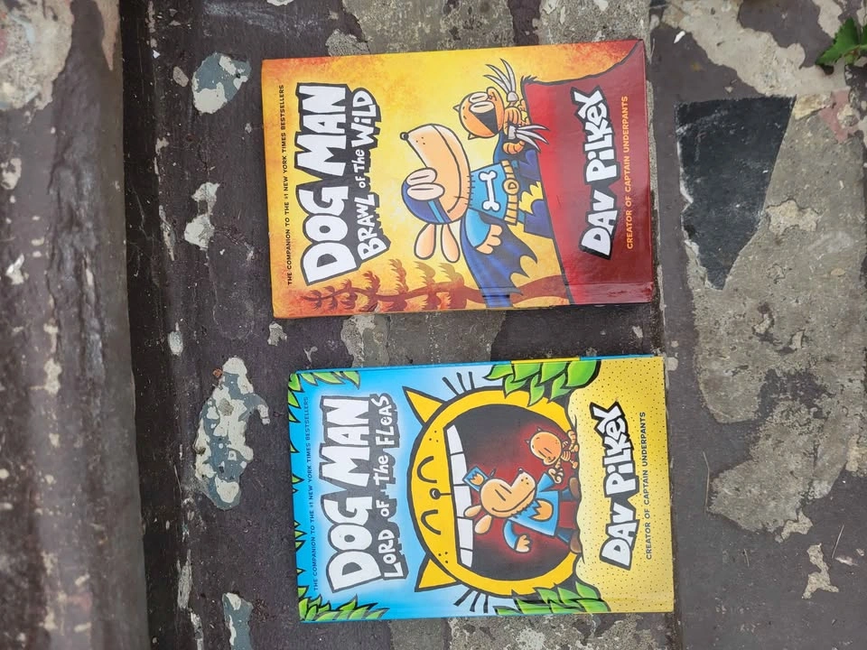 Diary of a Wimpy Kid, Dog Man, and Assorted Books & DVDs Lot - photo 2