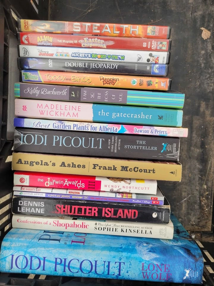 Diary of a Wimpy Kid, Dog Man, and Assorted Books & DVDs Lot - photo 3