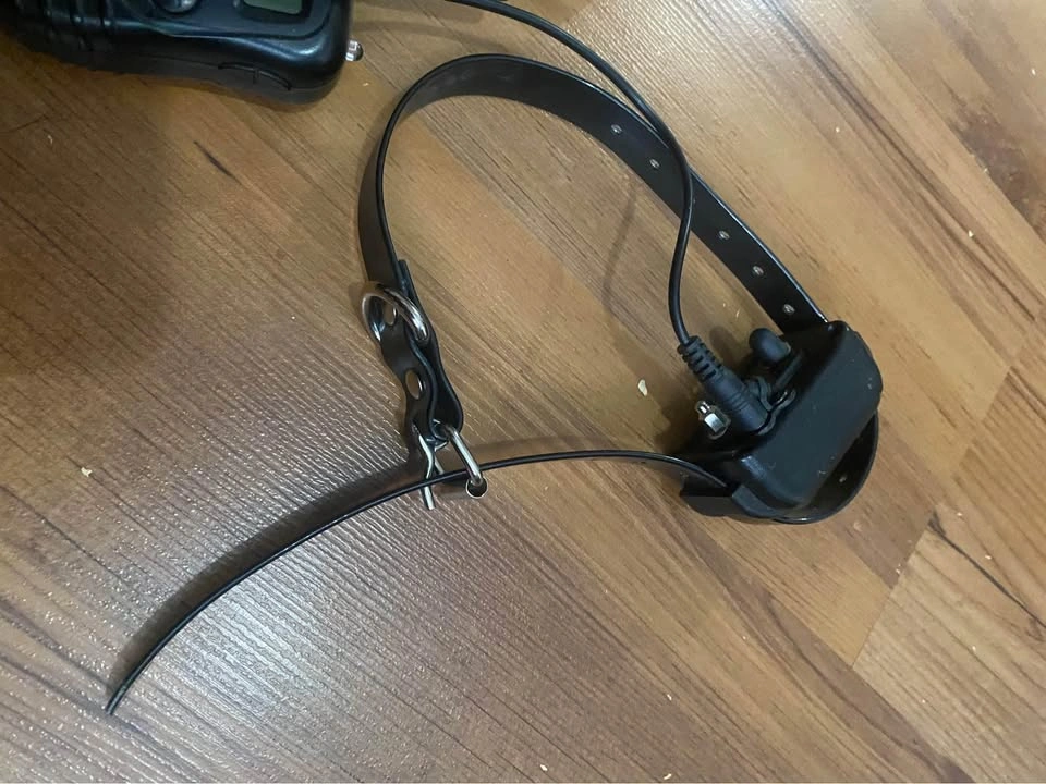 Pet training collar rechargeable and rainproof with remote - photo 5
