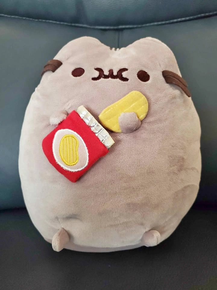 Pusheen with Chips Plush