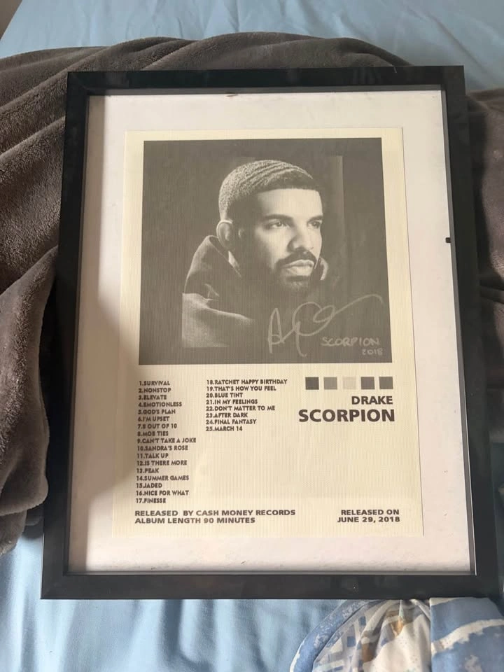 Drake posters (frames included) - photo 4