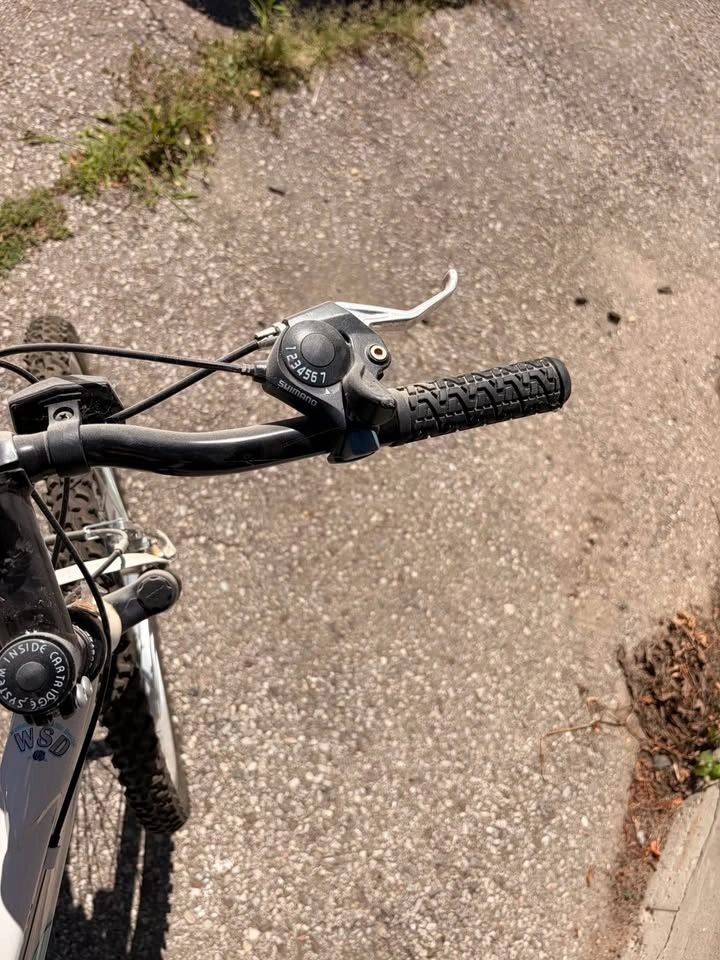 Raleigh women’s bike - photo 3