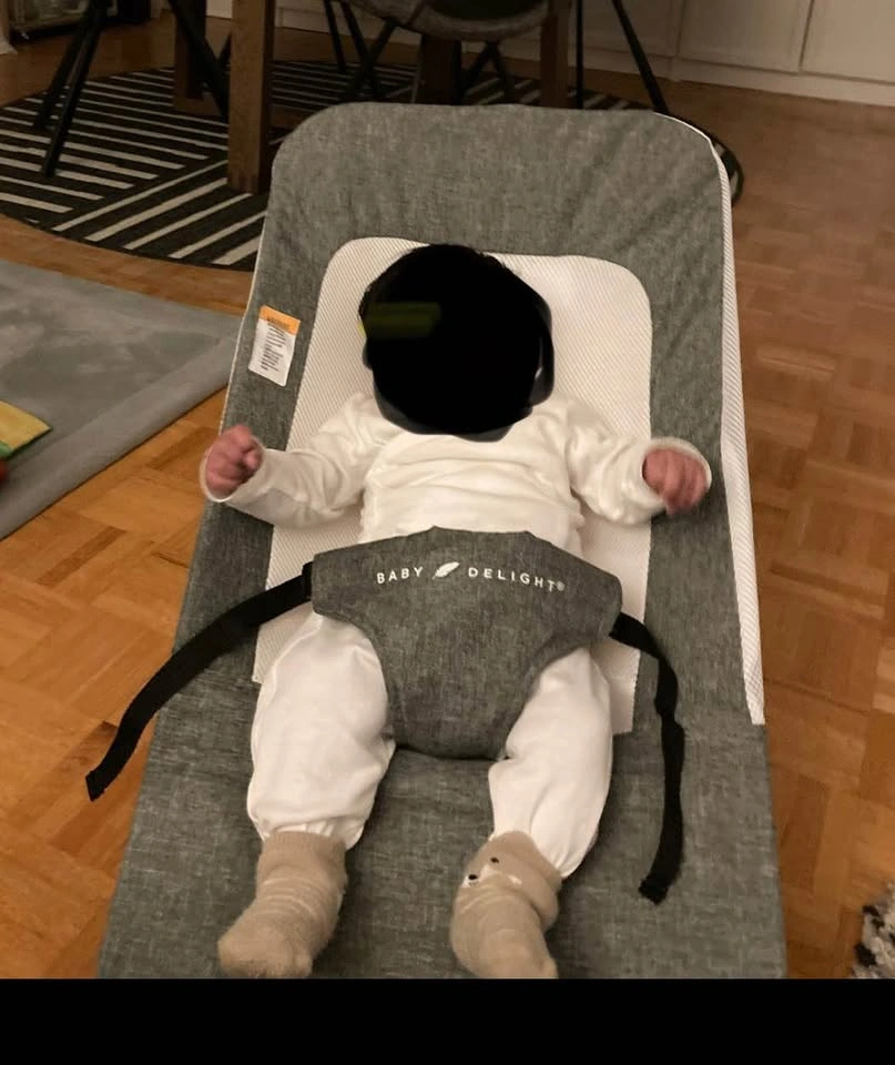 Baby bouncer - photo 5