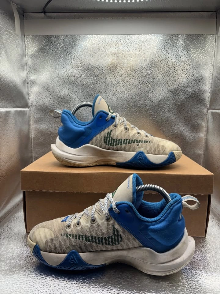 Nike Giannis Immortality City Edition GS - photo 5
