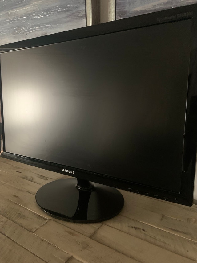 Samsung 24" Full HD 1080p Monitor (SyncMaster S24B300) - photo 2