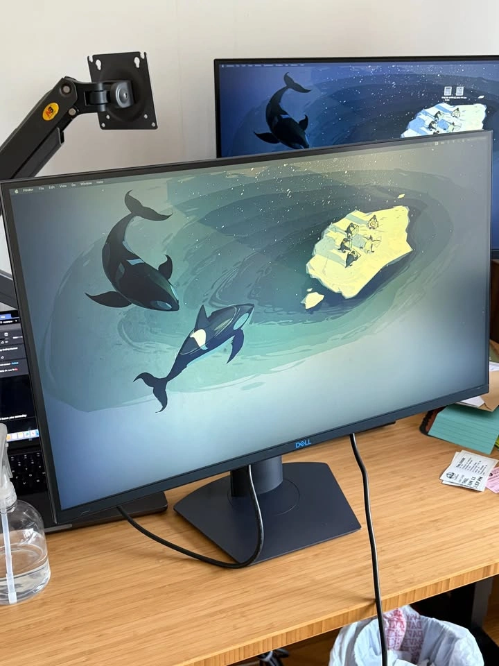 Dell Monitor 1440P 144HZ
