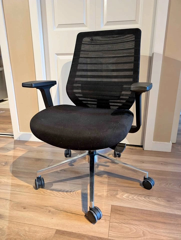 Branch Ergonomic Chair