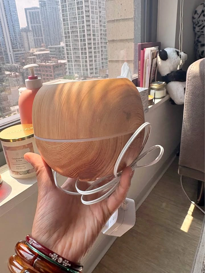 oil diffuser w oils