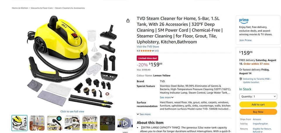 Steam Cleaner for Home - photo 5