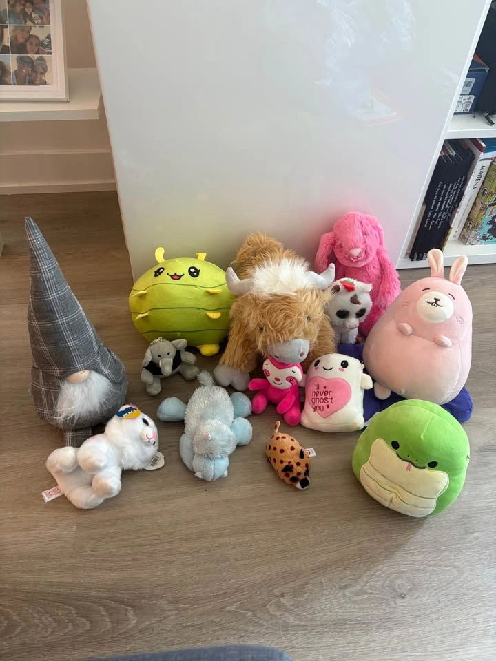 Squishmallows, Ty, and Assorted Plush Toy Bundle - photo 2