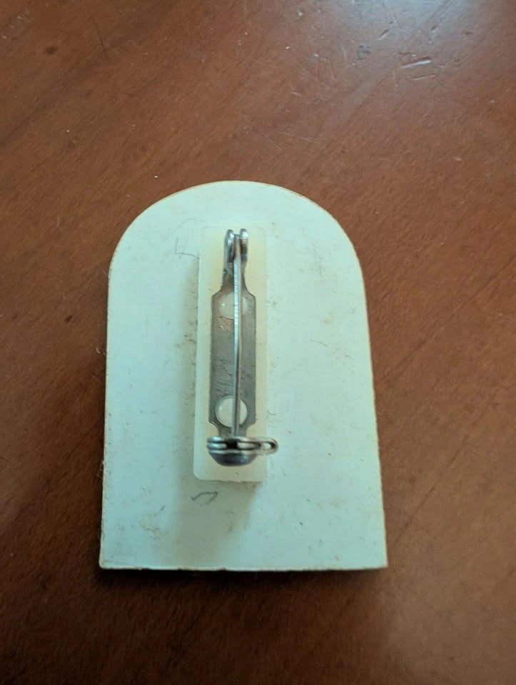 Vintage TWA pin - photo 2