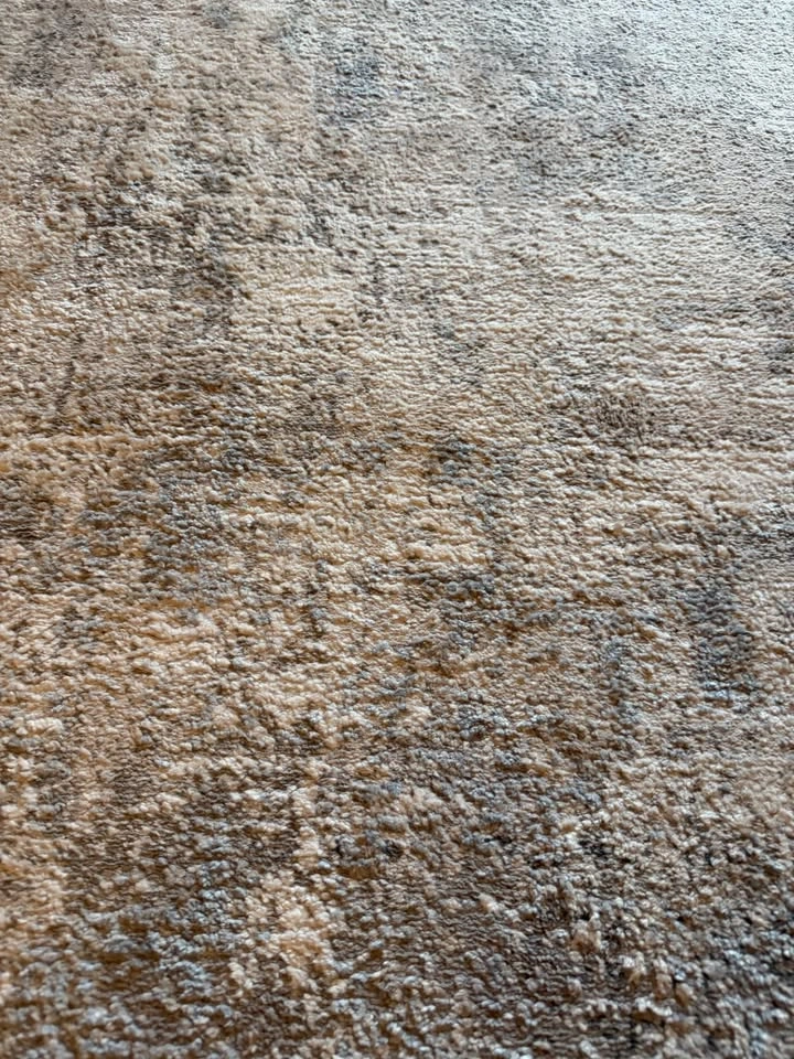 Living room Carpet - photo 3