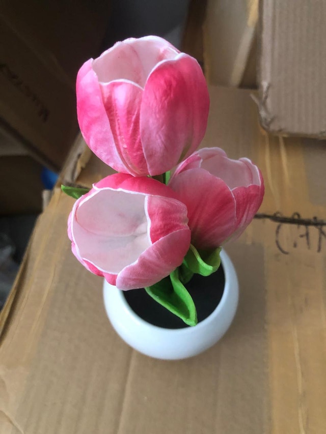 Tulip Decor solar power