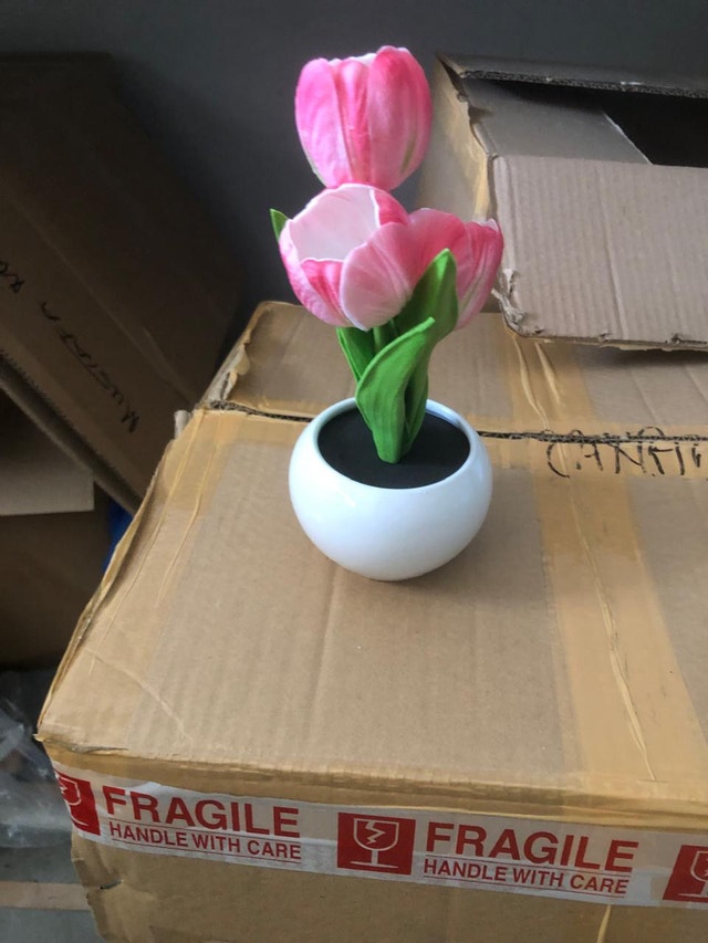 Tulip Decor solar power - photo 2