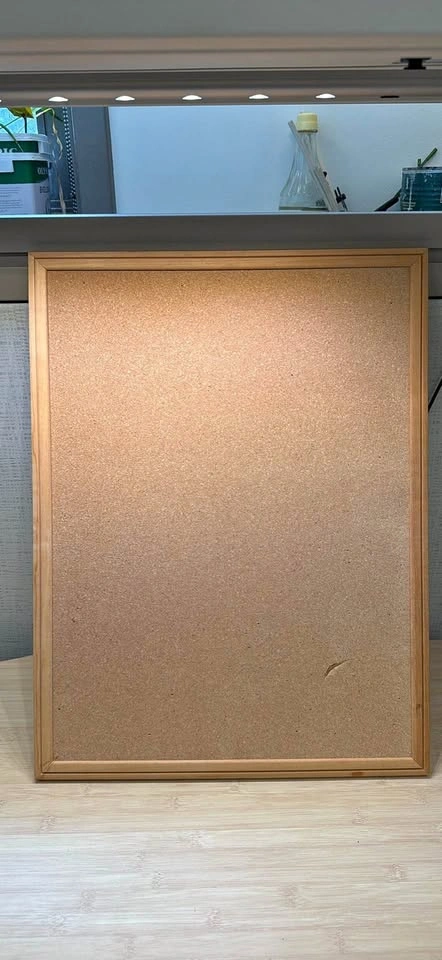 Wooden Framed Cork Bulletin Board