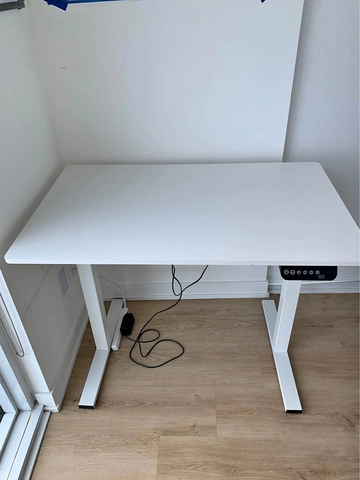 Electric Standing Desk – $180