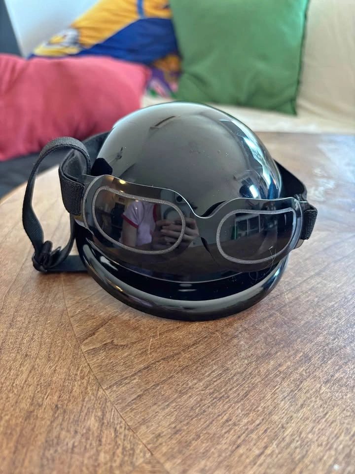Pet Helmet and Goggles Set