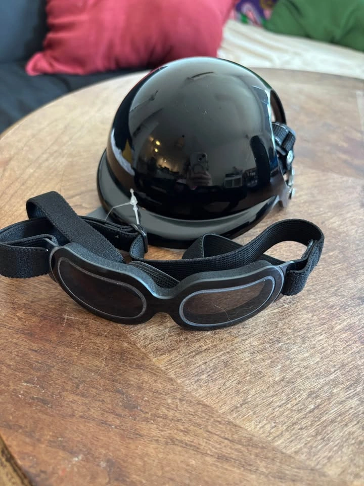 Pet Helmet and Goggles Set - photo 2