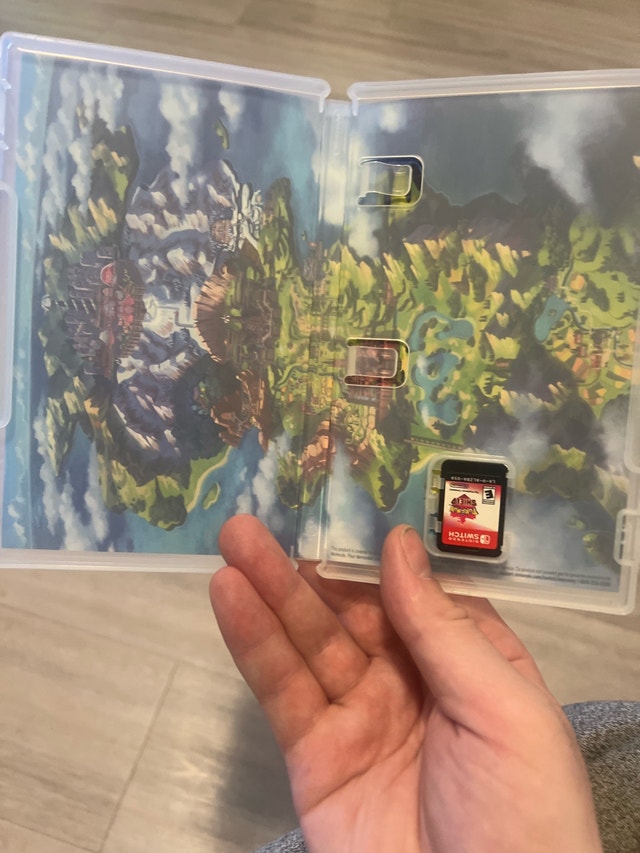 Pokemon Shield - photo 3