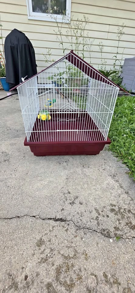 Bird cage
