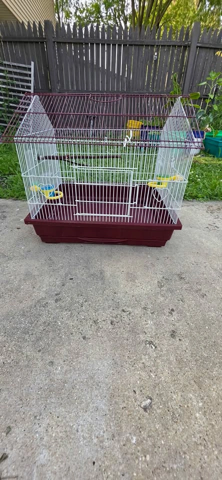 Bird cage - photo 2