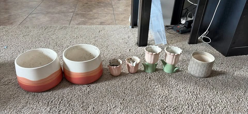 Assorted Ceramic and Plastic Plant Pots