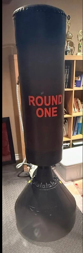 Huijun Freestanding Punching Bag and Fight Monkey Gloves - photo 2