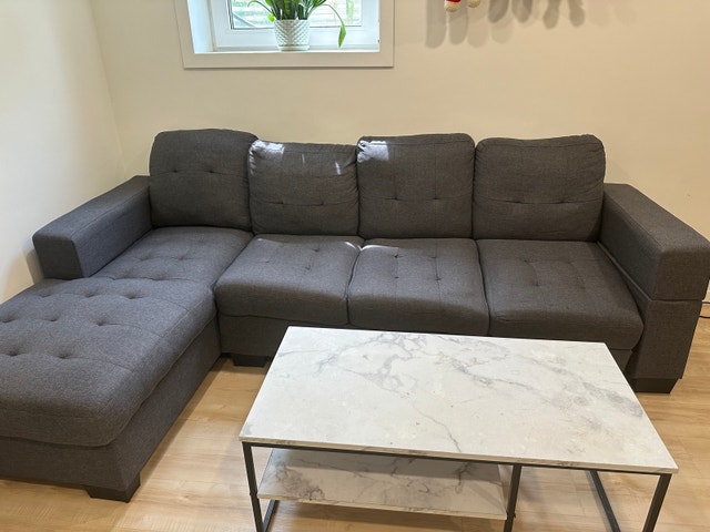 Grey Couch and table