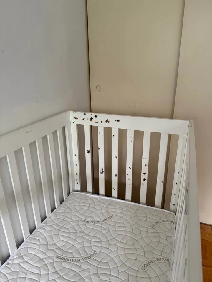 Crib Mattress- Organic + free crib - photo 5