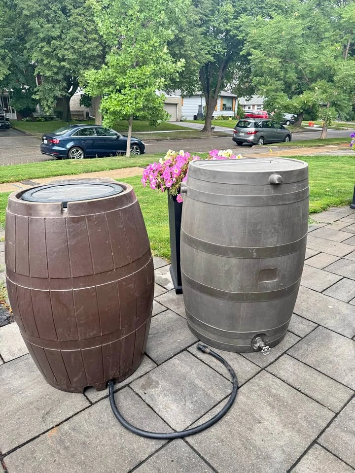 Rain Barrel (Raincatcher)