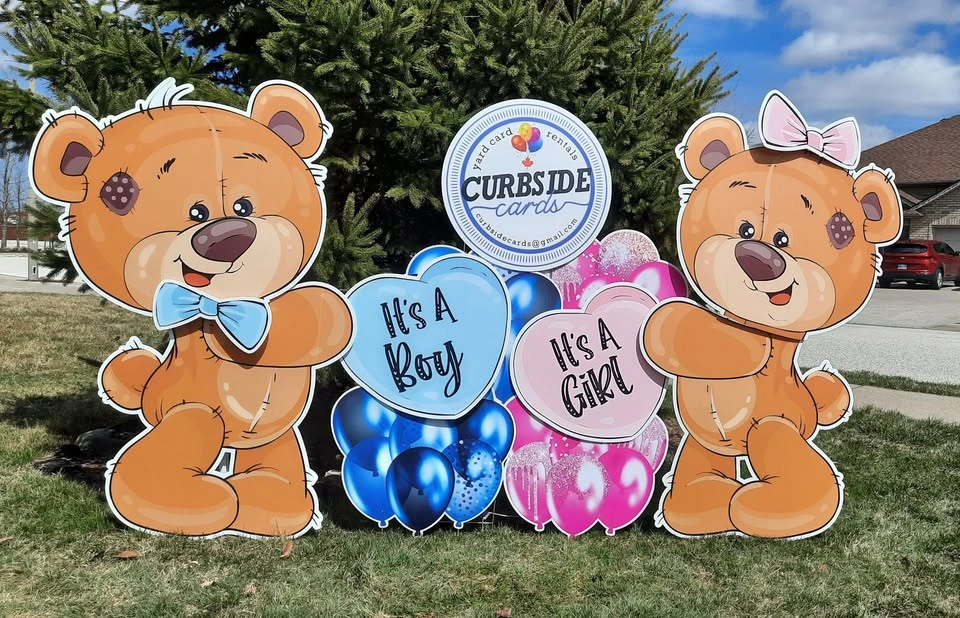 Baby Announcement Yard Card Celebration Sign - photo 4
