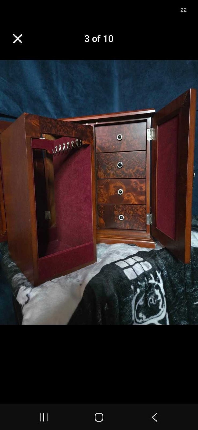Vintage Bombay Brand Armoire - photo 3