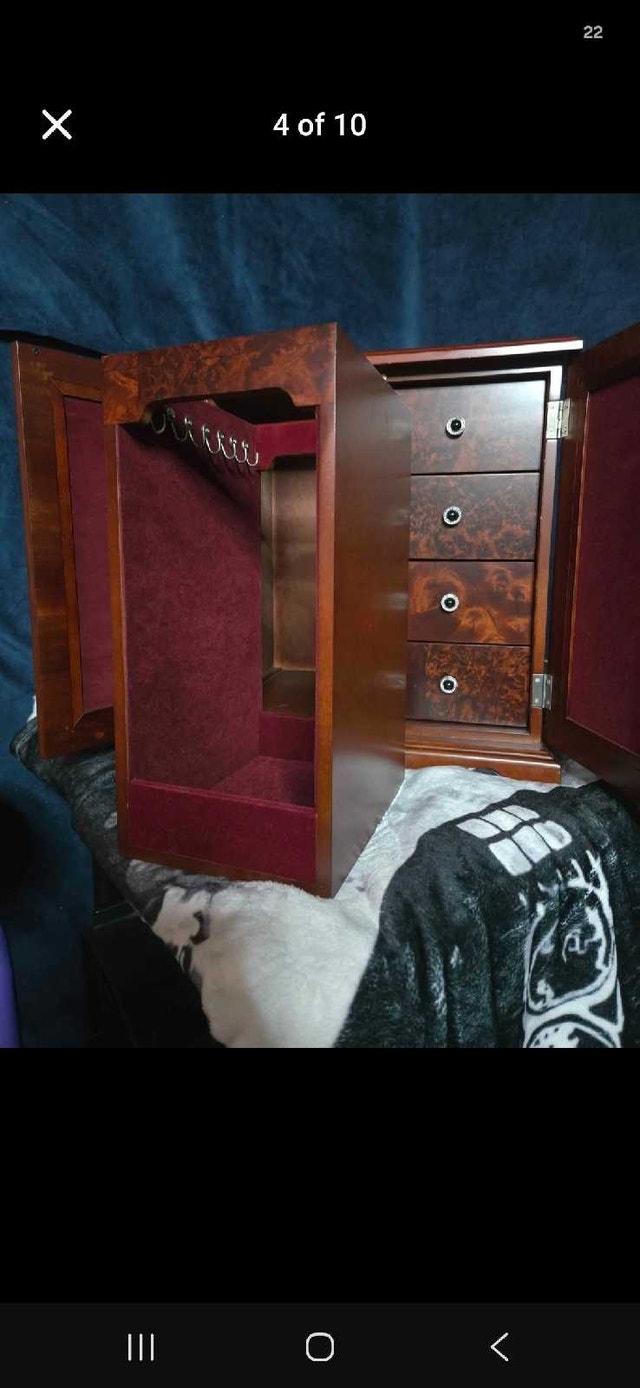 Vintage Bombay Brand Armoire - photo 4