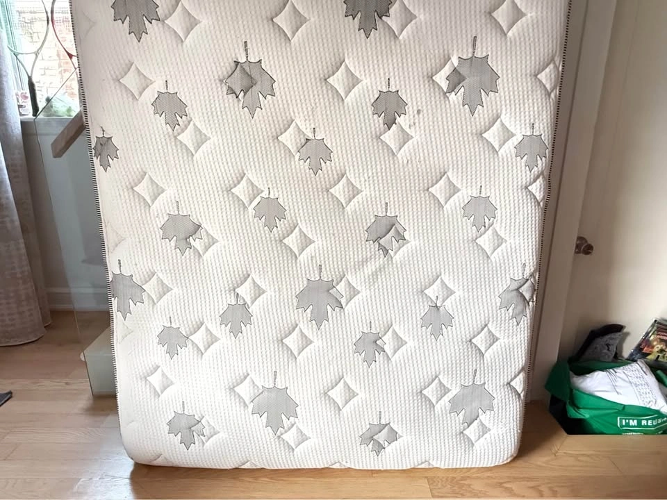 Clean Double Mattress – Medium Firm – Excellent Condition - photo 3